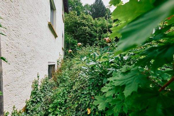 Gartenbereich neben dem Objekt 