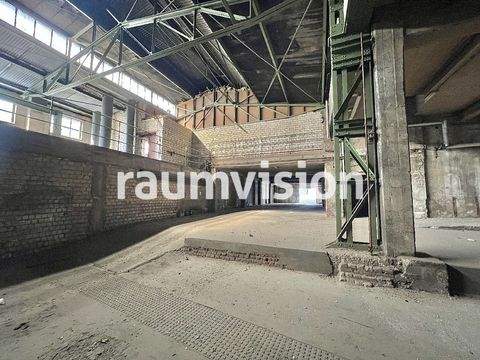 Solingen Halle, Solingen Hallenfläche