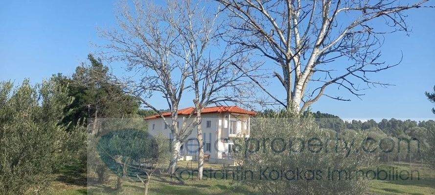 H3268 Kalandra DHH (2)