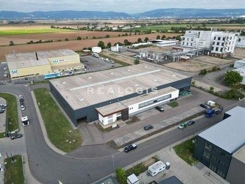 Plankstadt Halle, Plankstadt Hallenfläche