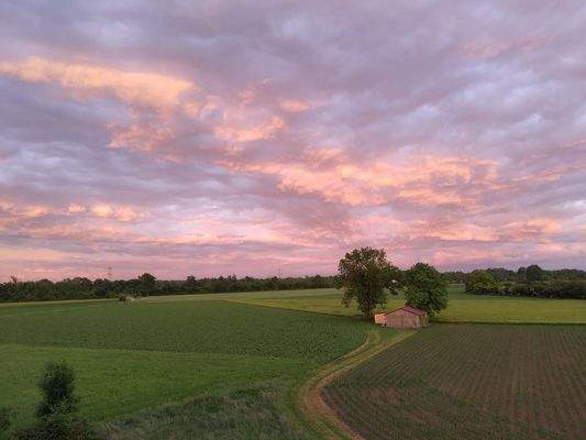 Außblick Wohnzimmer