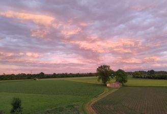 Außblick Wohnzimmer