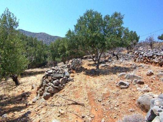 Kreta, Kato Pine: Bauland mit Panoramablick und Baugenehmigung zu verkaufen