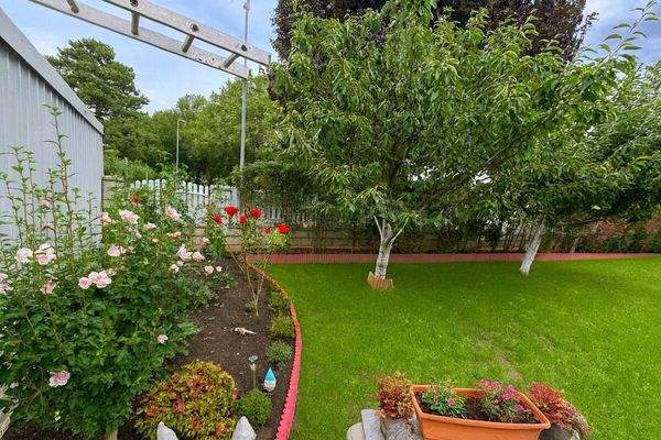 Image Sep 4, 2025, 07_19_56 PM