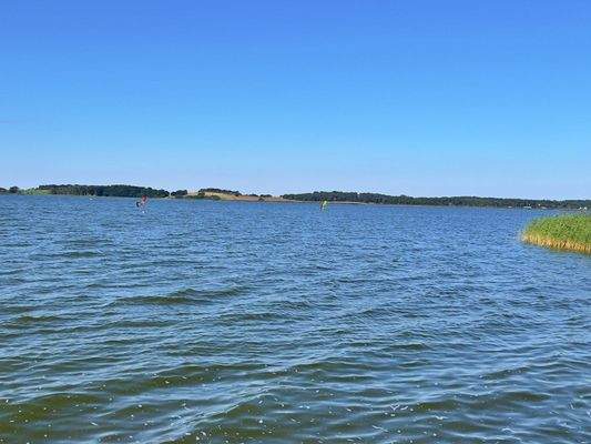 Achterwasser ganz nah