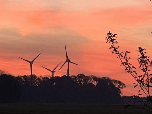 Blick vom neuen Grundstück