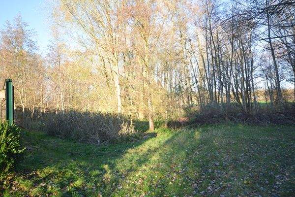 Anwesen Ruppersdorf-42.jpg