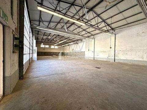 Dortmund Halle, Dortmund Hallenfläche