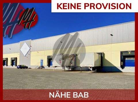 Bingen am Rhein Halle, Bingen am Rhein Hallenfläche