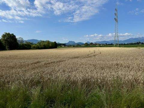 Stephanskirchen Bauernhöfe, Landwirtschaft, Stephanskirchen Forstwirtschaft