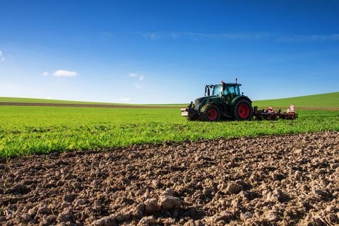 Buch am Wald Bauernhöfe, Landwirtschaft, Buch am Wald Forstwirtschaft