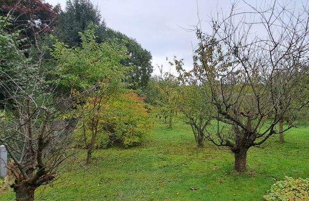 Grundstück Obstgarten