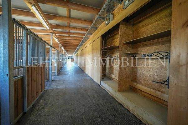 Lehner Immobilien Bild 93