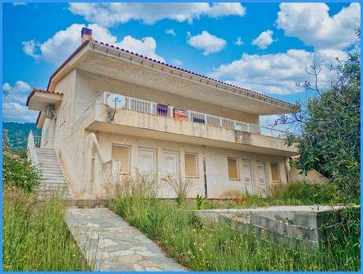 786276bb1be849d7ad7291679c7bd481-original