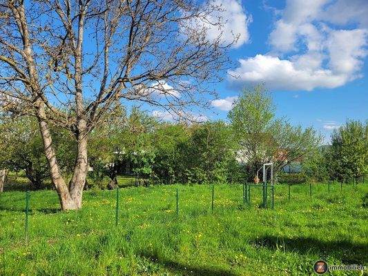 Teilansicht Gartenflächen der Mieter