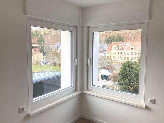 Fenster mit Rollläden