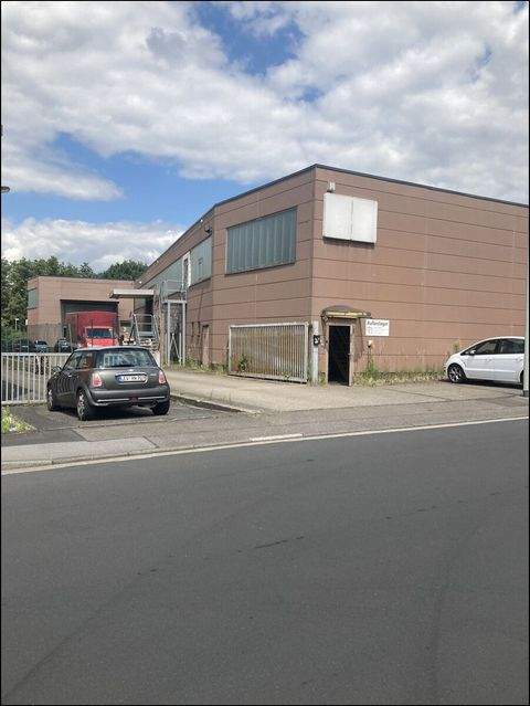 Leverkusen Halle, Leverkusen Hallenfläche