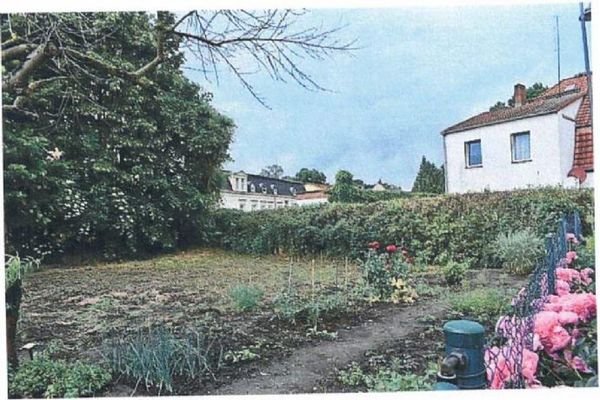 Blick aufs Grundstück-3