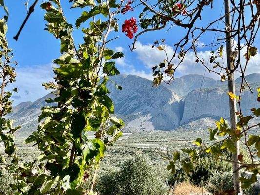 Kreta, Pachia Ammos: Teilweise renoviertes Haus mit Garten zu verkaufen