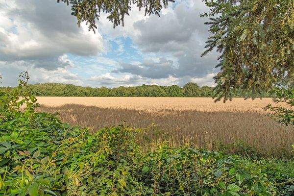 Direkte Lage am Getreidefeld