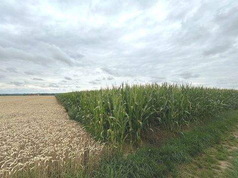 Ebershausen Bauernhöfe, Landwirtschaft, Ebershausen Forstwirtschaft