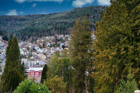 Bad Wildbad im Schwarzwald Grundstücke, Bad Wildbad im Schwarzwald Grundstück kaufen