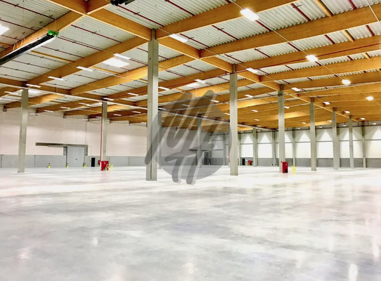 INFOS UNTER: 06171-586000