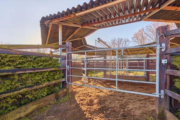 10 Führmaschine.jpg