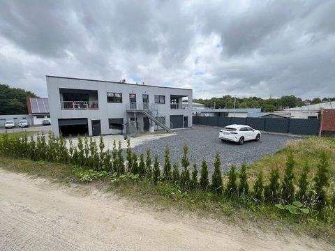 Altenberge Halle, Altenberge Hallenfläche