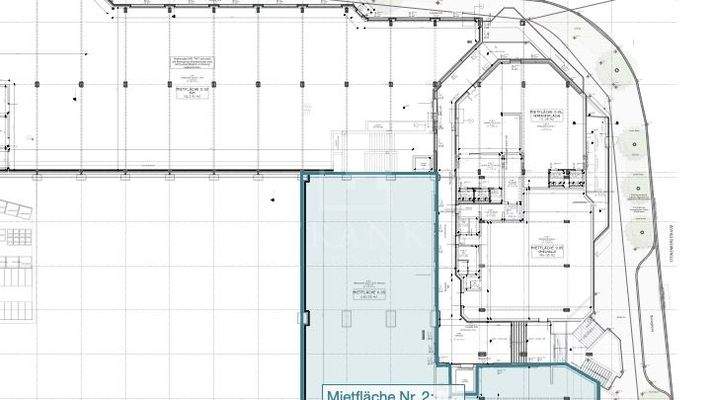 FlächeFitness_202507