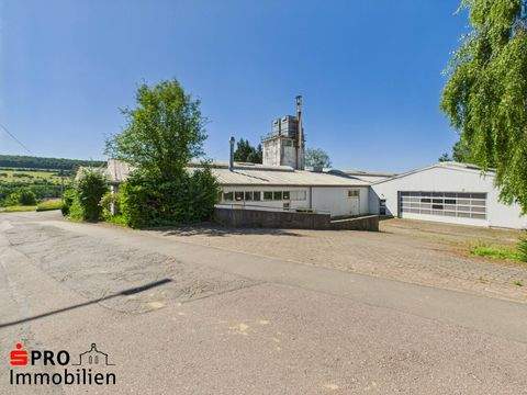 Gersheim Halle, Gersheim Hallenfläche