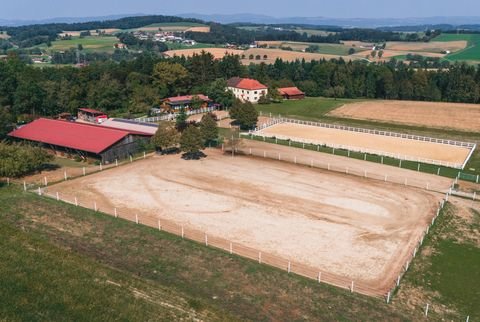 Ruprechtshofen Bauernhöfe, Landwirtschaft, Ruprechtshofen Forstwirtschaft