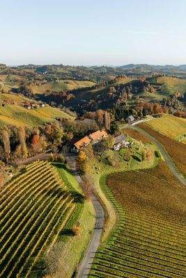 Neussl Eorykogel Liegenschaft 10 2025-3