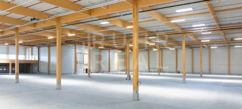 Mönchengladbach Halle, Mönchengladbach Hallenfläche