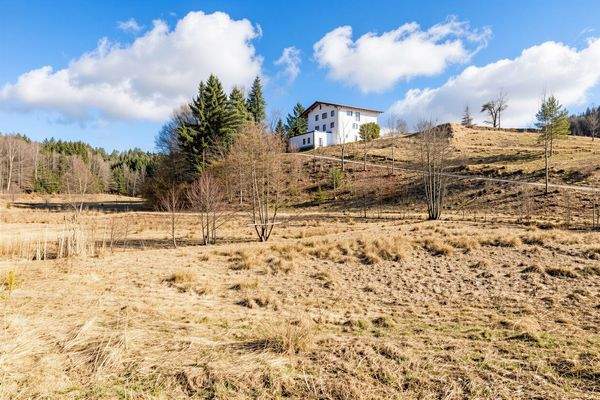 Blick zum Haus mit Auffahrtsstraße