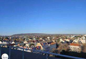 Wohnung - NESTOR Immobilien