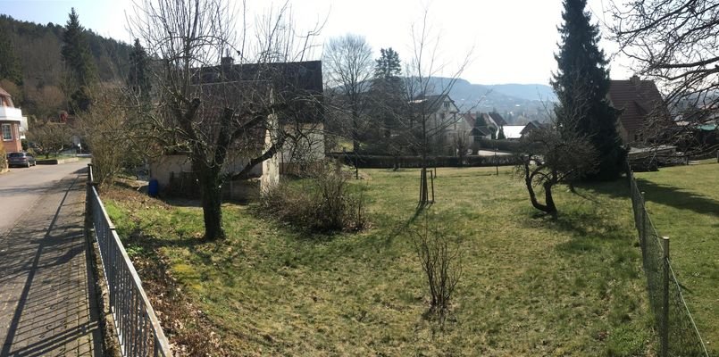 Blick in den Garten von der Straße