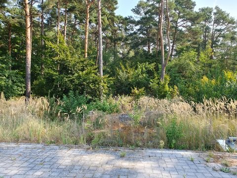 Heidesee Grundstücke, Heidesee Grundstück kaufen