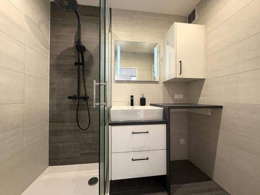 Bad mit Du, Wandspiegel, Handtuchtr. WM/WT-Anschl.