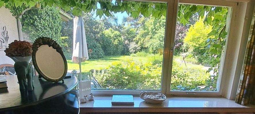 Blick aus Wohnzimmer