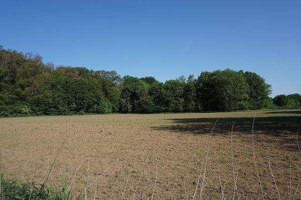 Landwirtschaftsfläche