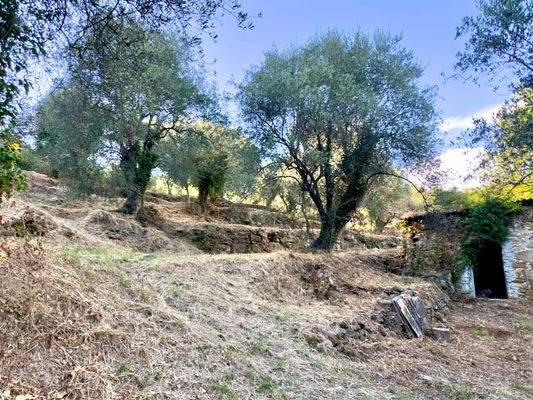 DA1046_05 TERRA ITALIA IMMOBILIEN_REAL ESTATE_FOR 