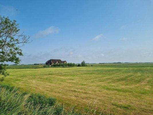 herrlicher Weitblick.jpg