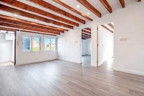 Palma de Mallorca Wohnungen, Palma de Mallorca Wohnung kaufen