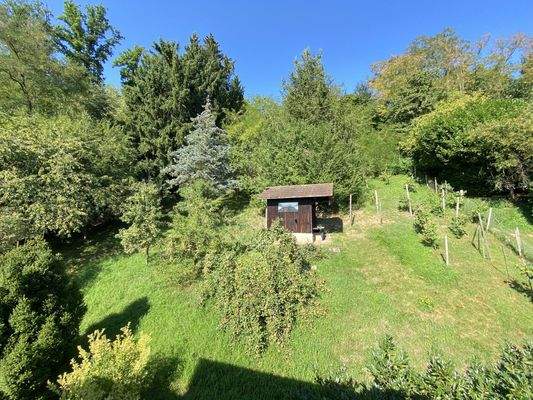 Ausblick Gartenseite DG