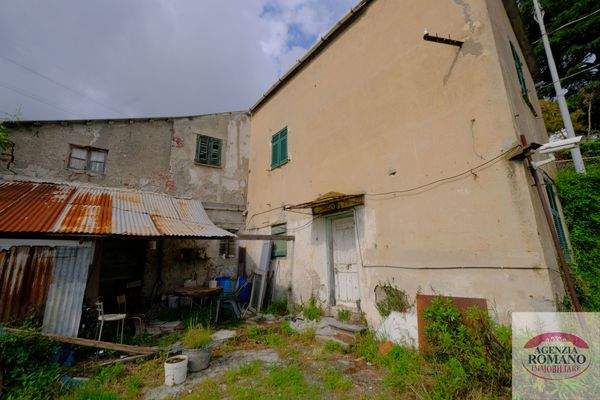 Rif 1462(Copy17).jpg