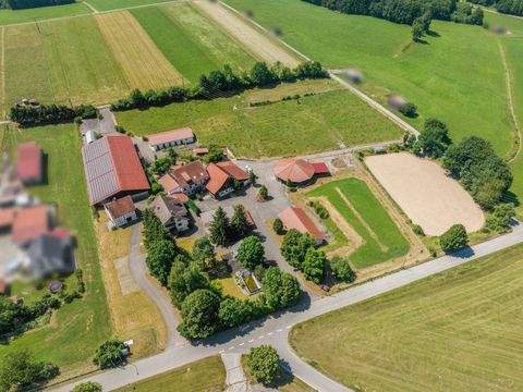 Kirchhaslach Bauernhöfe, Landwirtschaft, Kirchhaslach Forstwirtschaft