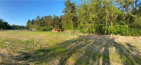 Neuhardenberg Grundstücke, Neuhardenberg Grundstück kaufen