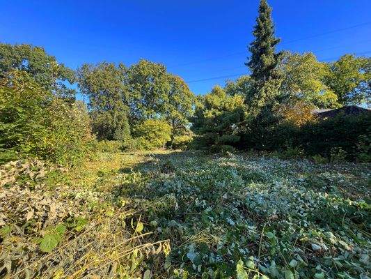 SCHRICK IMMOBILIEN: Volksdorf