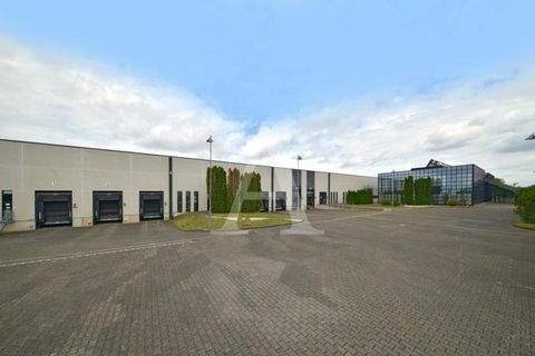 Kerpen Halle, Kerpen Hallenfläche